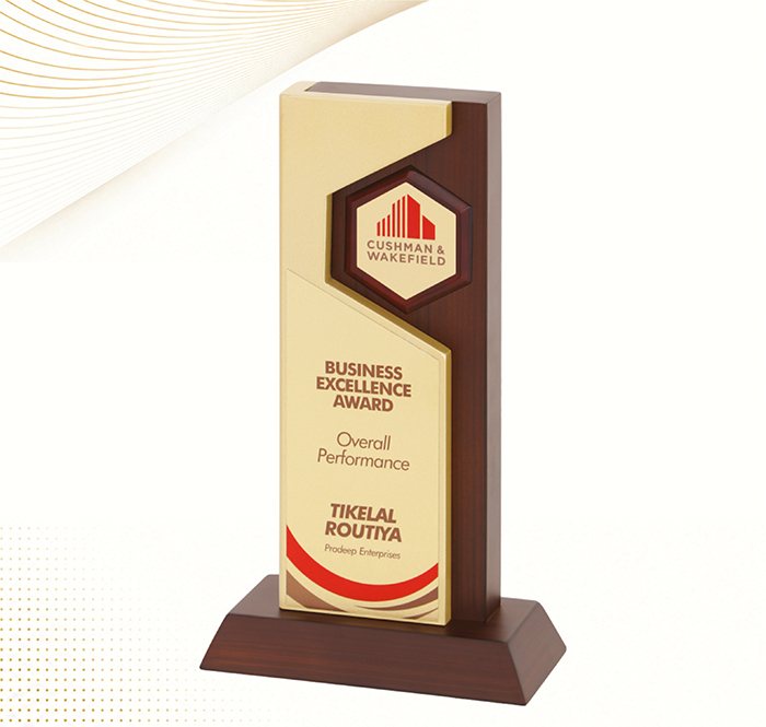 Excellence Award Trophy AS 3724 - Award Solutions Lucknow